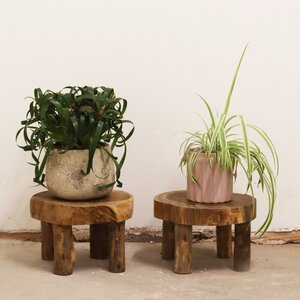 Medium Teak Wood Display Pads - 27x15cm for Decor  Plants