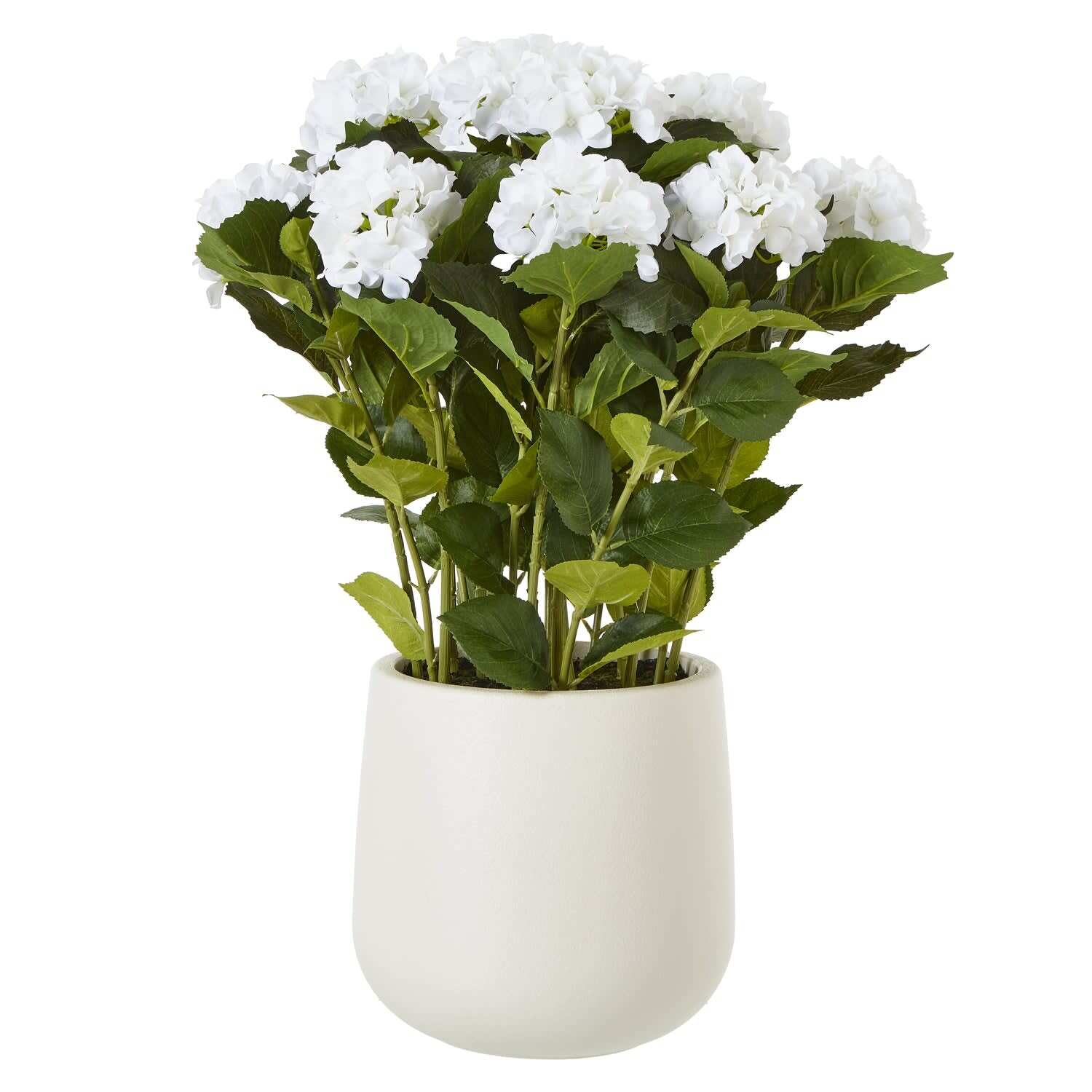 Hydrangea Artificial Plant Matt Pot - White
