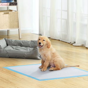 FEANDREA Puppy Training Pads, Puppy Toilet, 60 x 90 cm, Pack of 100