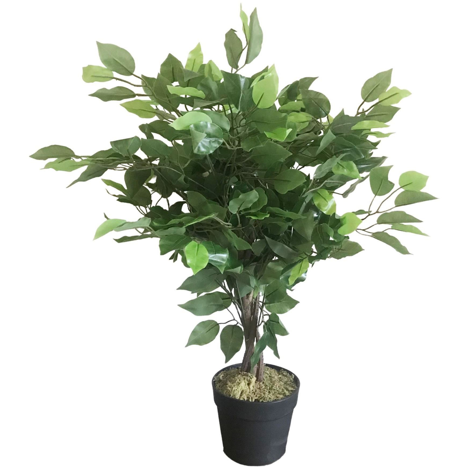 Artificial 60cm Botanically Accurate Indoor Tree - Green