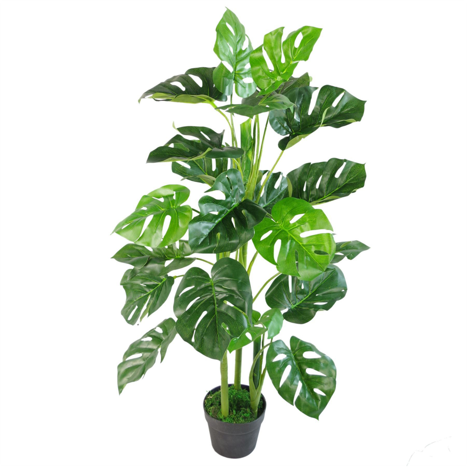 Artificial Monstera Plant Moss Covered Pot 100cm - Green