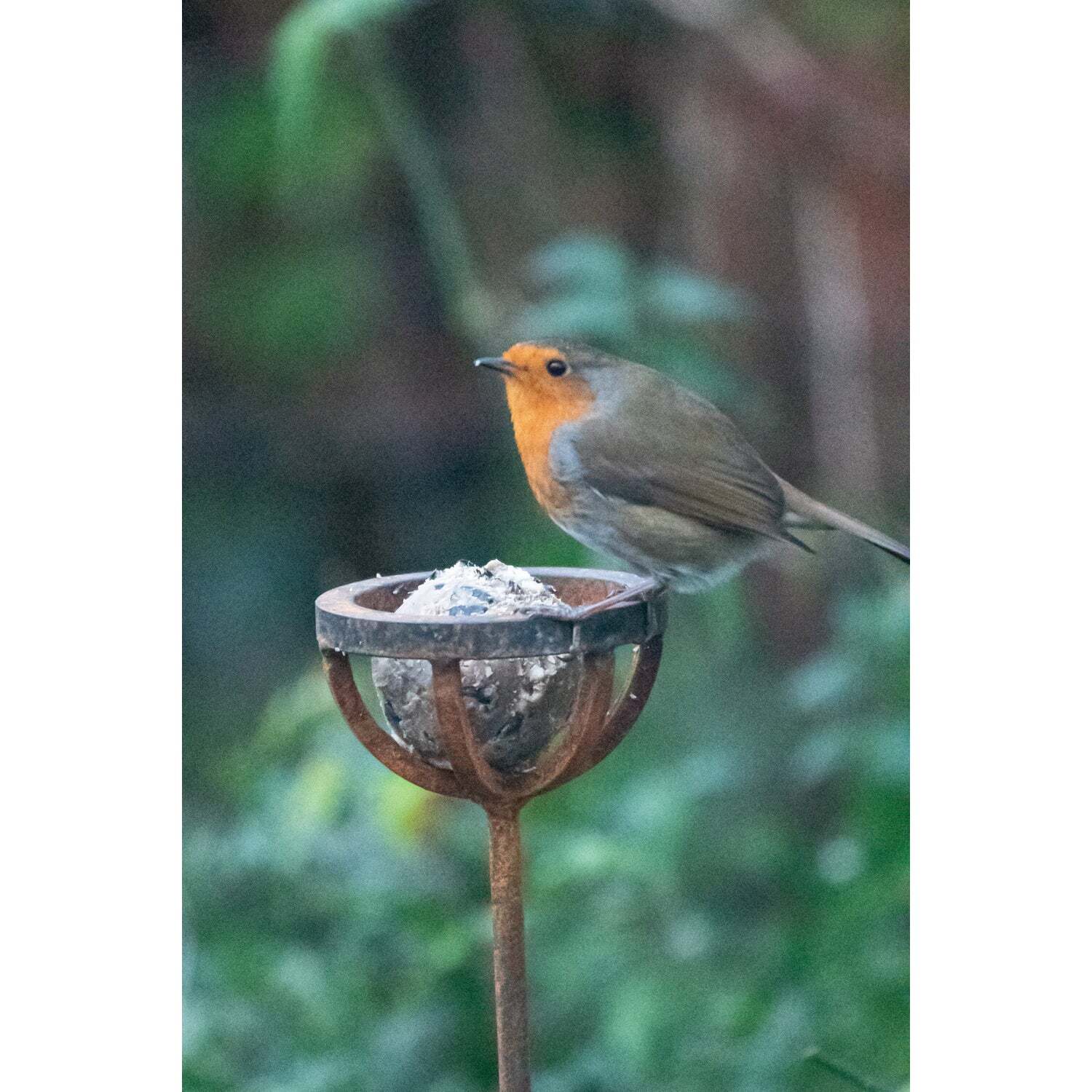 Savage Works Fat Ball Bird Feeder Stake - Image 2
