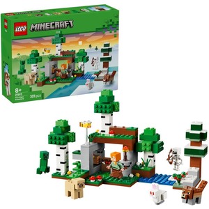 Lego Minecraft 21593 First Night Adventure