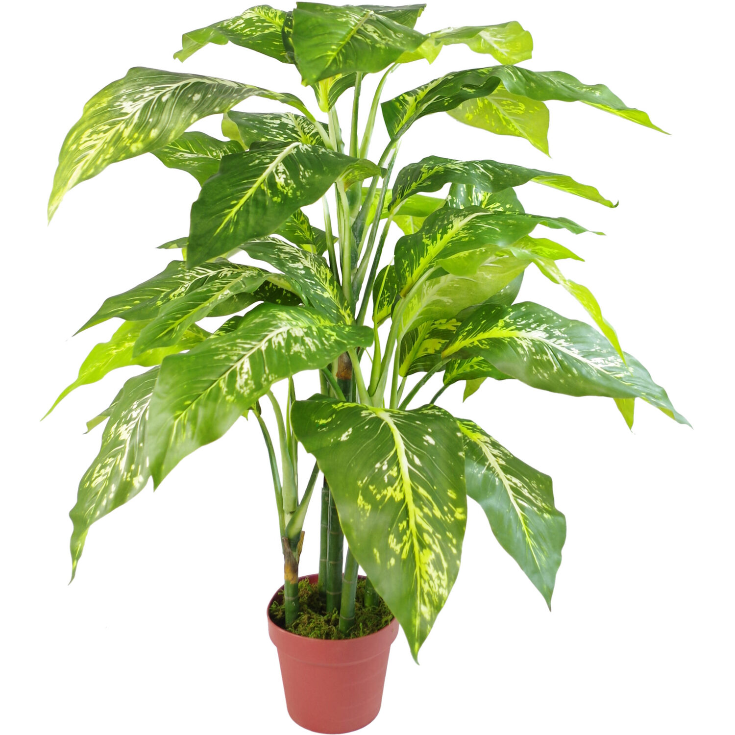 Large Fox Aglaonema Tree Artificial Plant With Metal Planter - Green