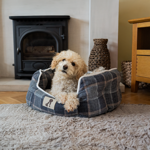 AllPetSolutions Alfie Soft Dog Bed - Check