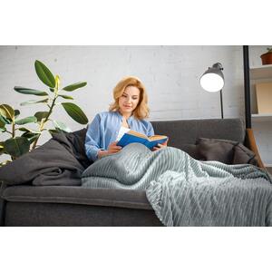 Silver Dakota Blanket Throw shot 9854740