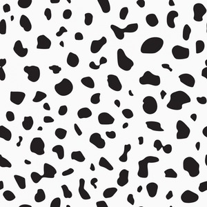 Lots of Spots Wallpaper Black and White