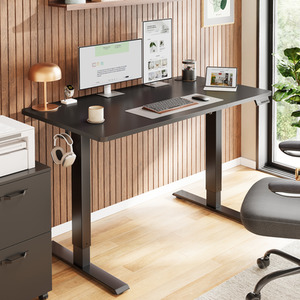 Height Adjustable Desk, Electric Standing Desk,