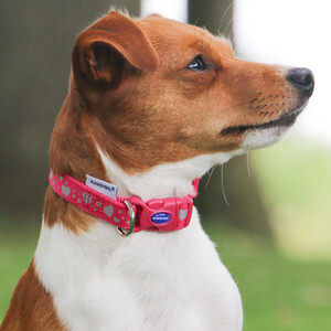 Pink Reflective Hearts Adjustable Collar
