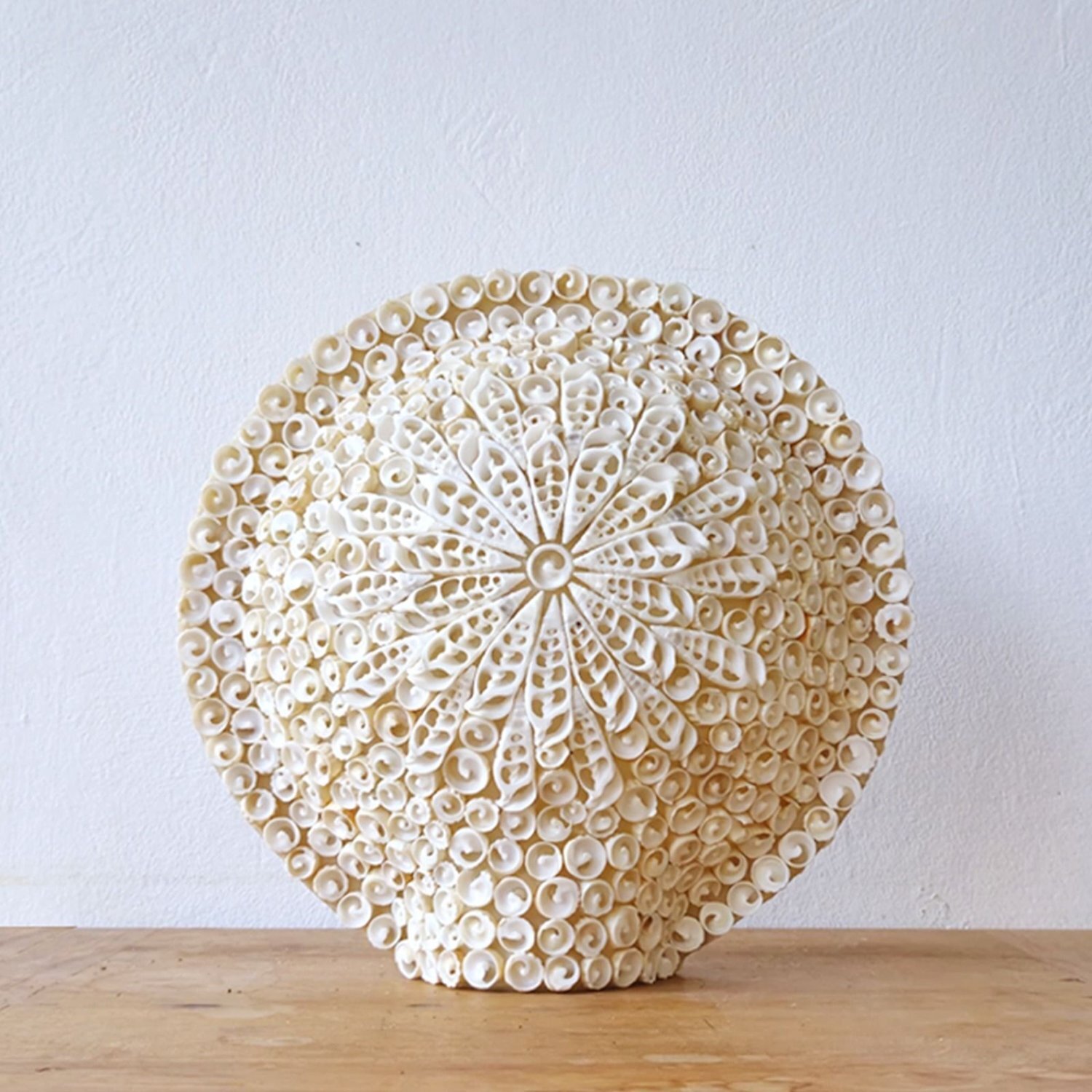 Image of Boho Sea Shell Lamp Large Round&hellip;