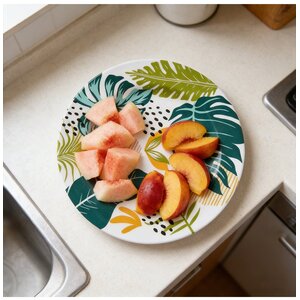 Plastic Reusable Round Party Picnic BBQ Plates 23cm Random