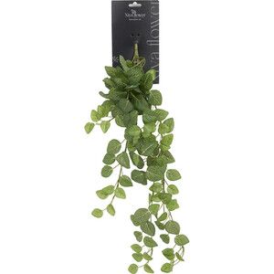 Hanging Fittona Artificial Plant