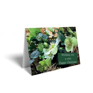 Floral Christmas Card 150 Pack
