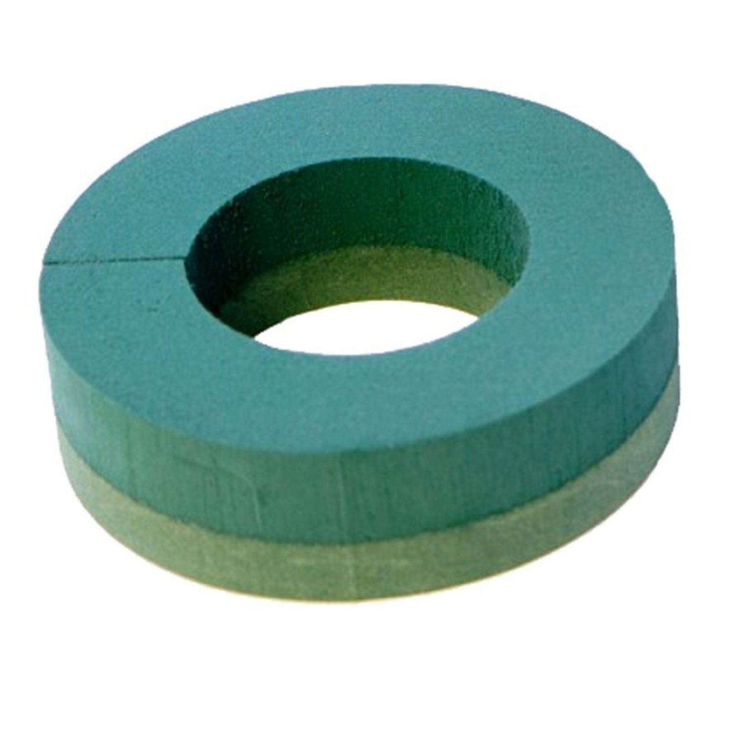  - Oasis Wet Foam Frame Rings 10 2 PackGreen - Image 3
