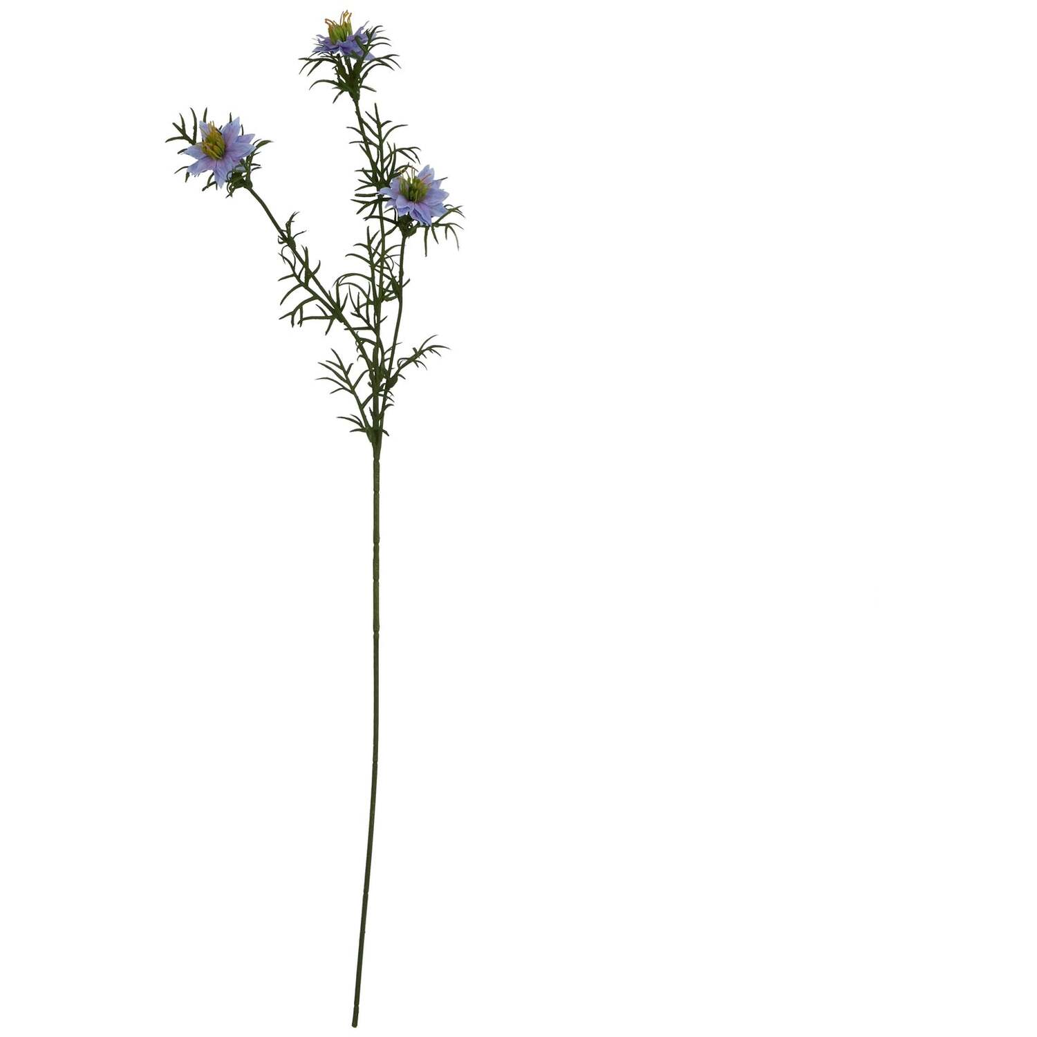 - The Natural Garden Collection Purple Nigella Love In A Mist - Image 2