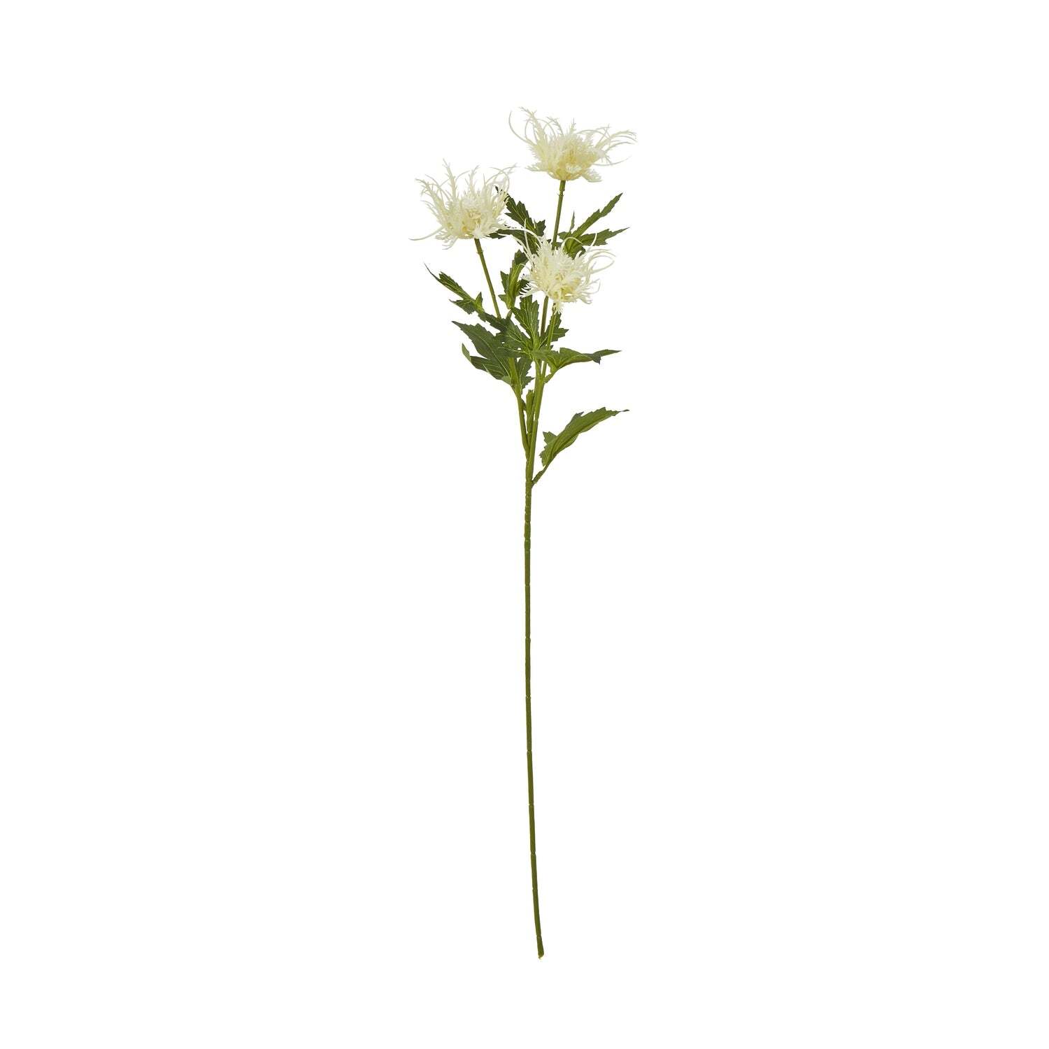 Sea Holly Spray - Image 3