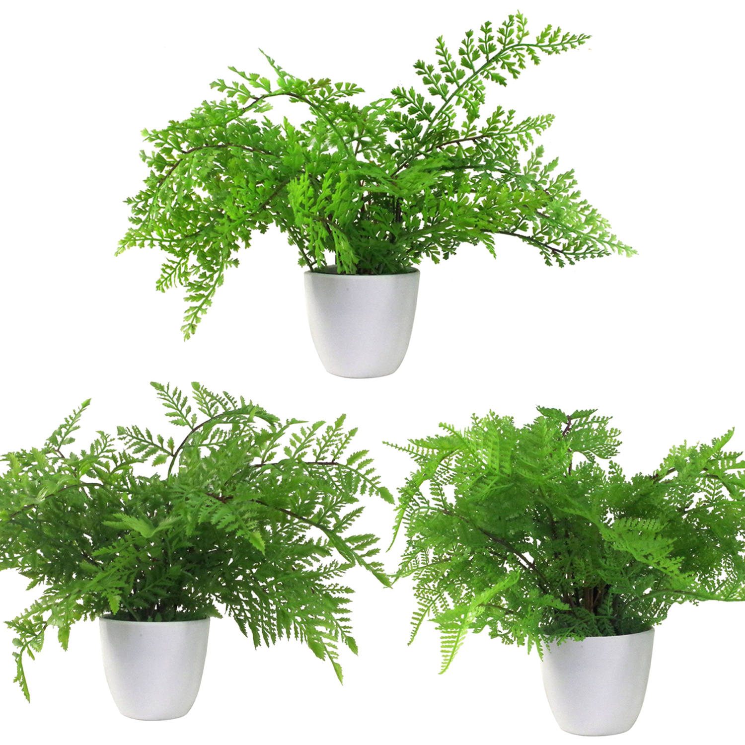 Pack of 3 x Artificial Ferns - Southern Wood - Lady and Royal - Potted - Green