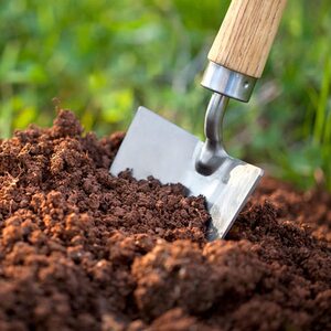  shot 5794108
