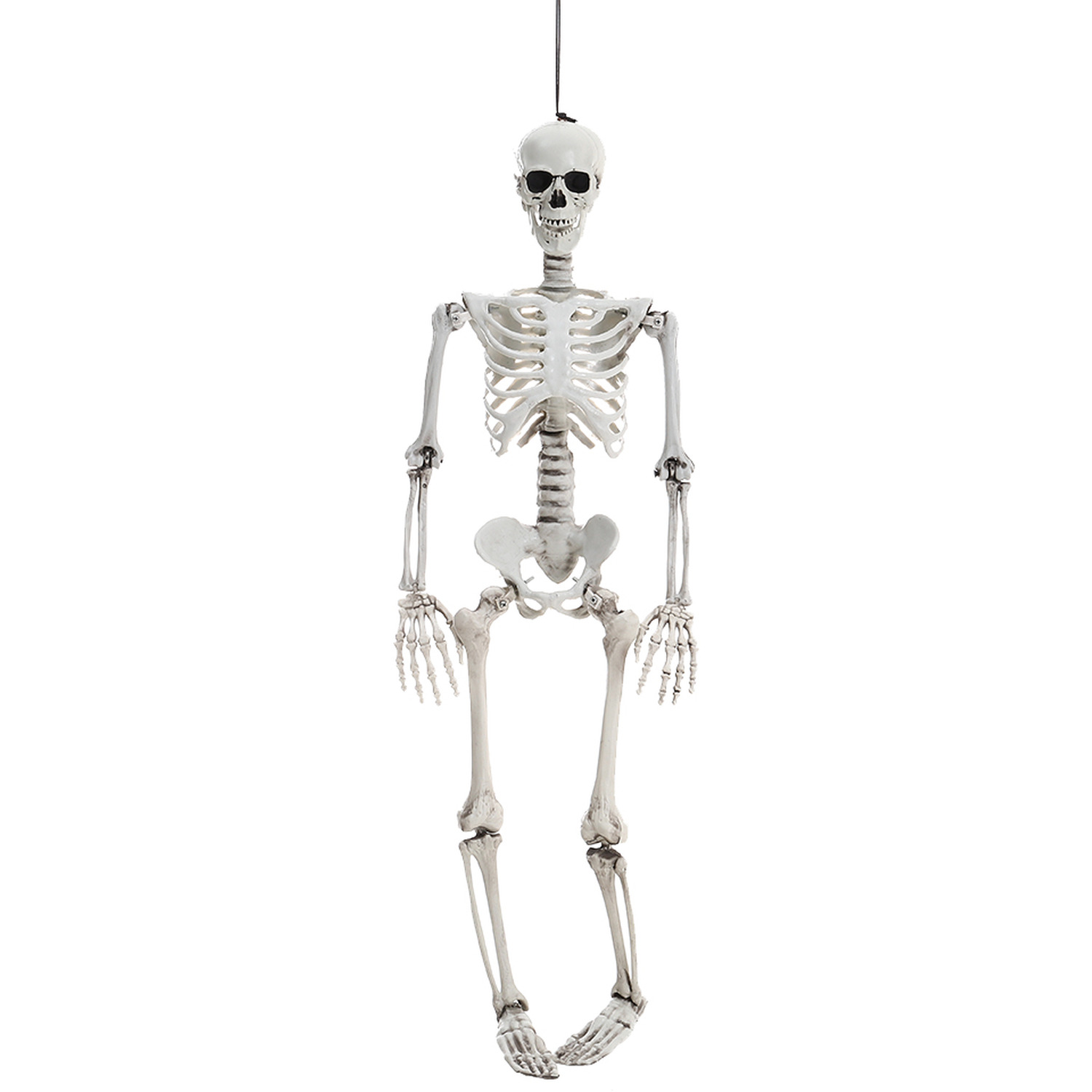 Halloween Realistic Plastic Skeleton - Distressed White / 90cm