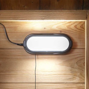 Solar LED Shed Light