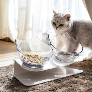 Double Bowl Slanted Cat Feeder