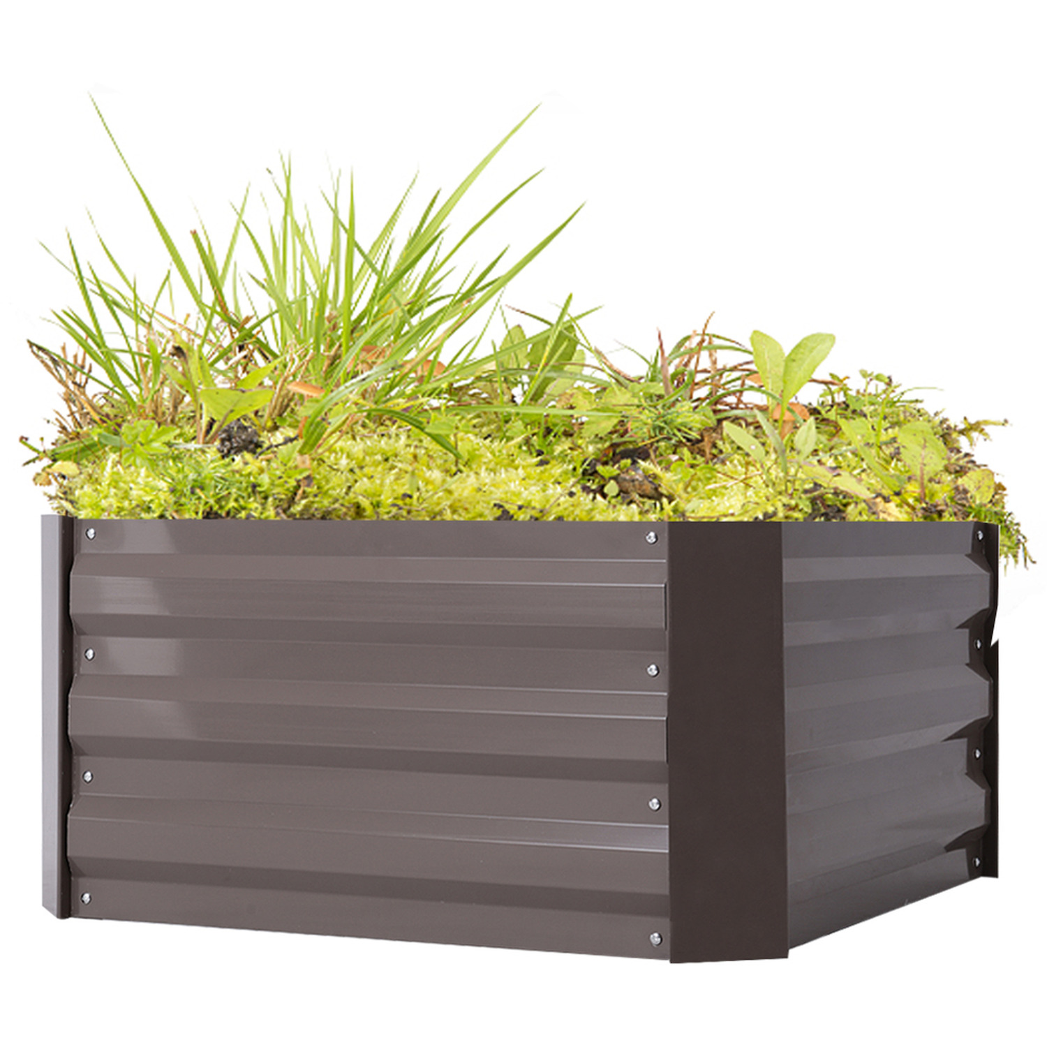 The Hot Sale Garden Bed Galvanized Steel Raised Planter Box - Brown / 100Cm