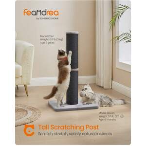 Feandrea Cat Scratching Post with Spring Pompom