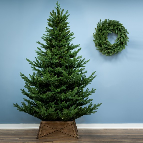 The Ultra Mountain Pine With Hinged Branches