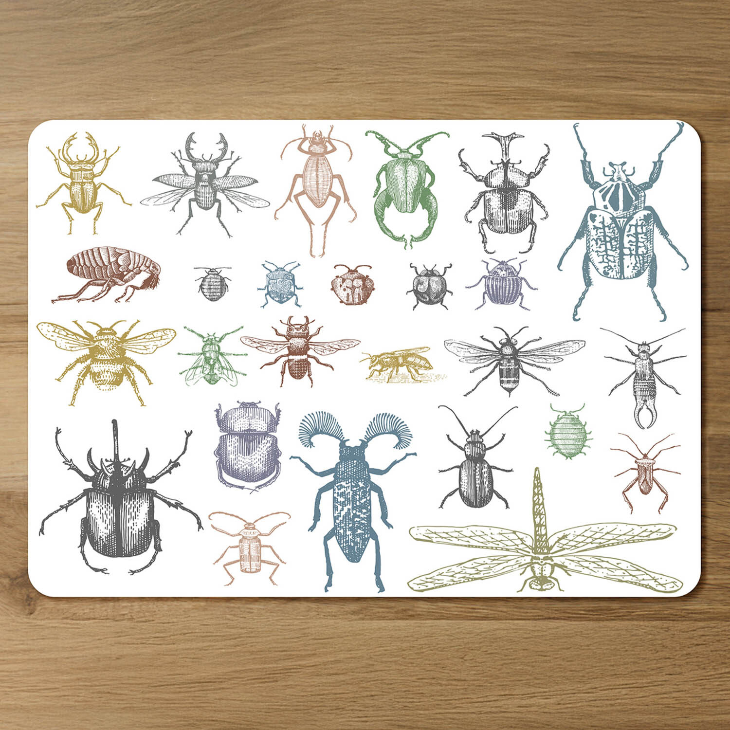 Image of Many species in vintage old hand&hellip;