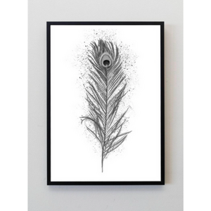 Peacock Feather Art Print