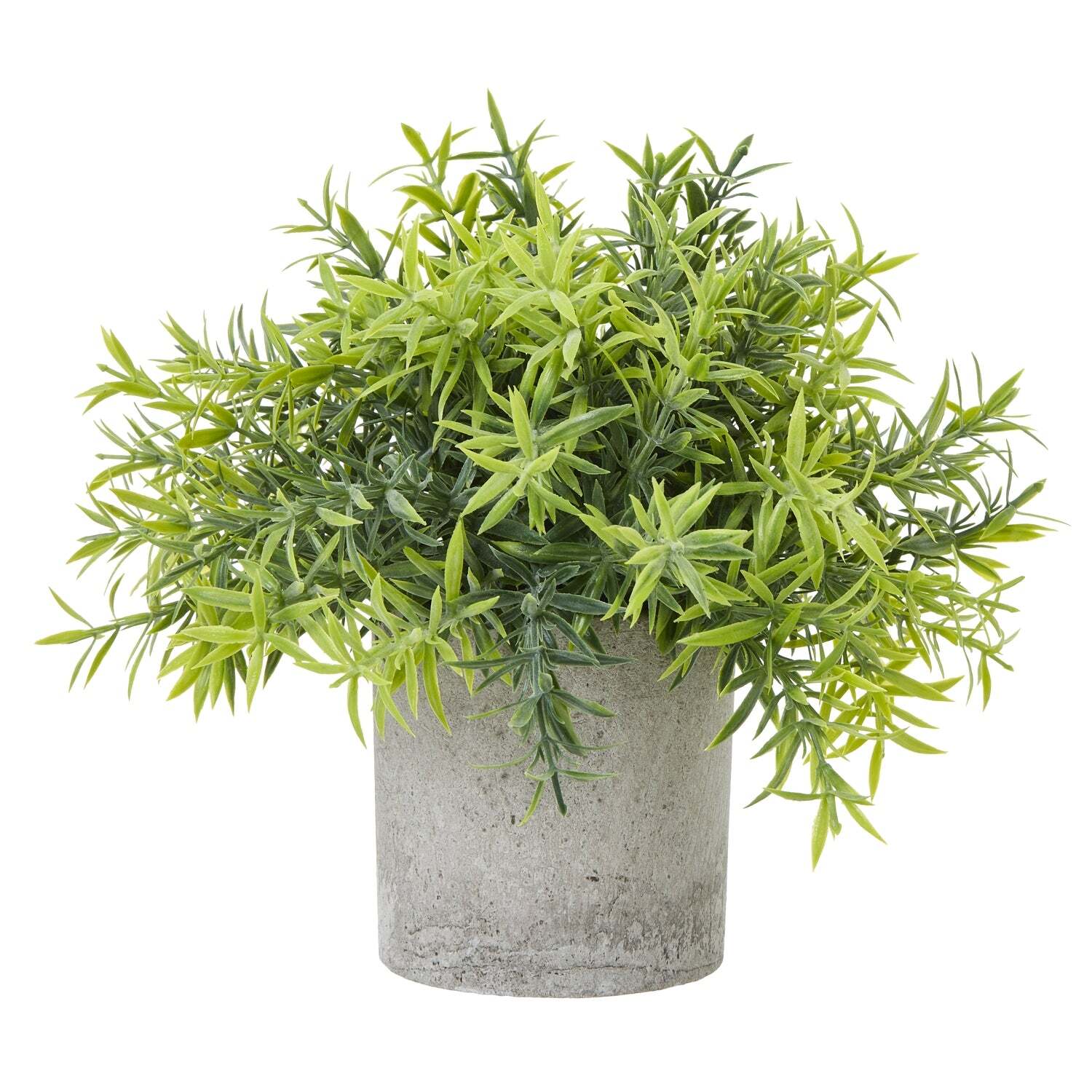 Wyld Haus Small Artificial Bamboo in Grey Concrete-Effect Pot - Green