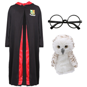 School Wizard Costume - Glasses & Owl