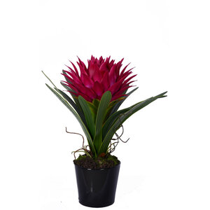 Fiori Pink Tropical Plant with Black Ceramic Pot
