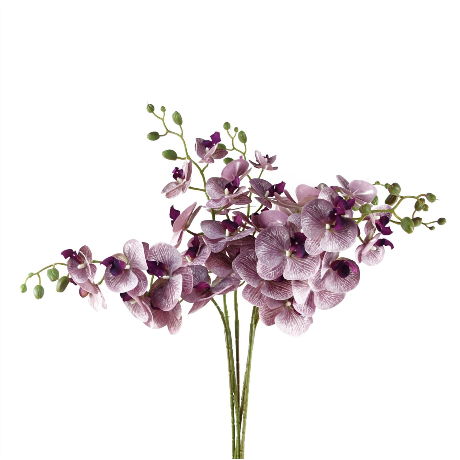 Pack Of 6 Purple Artificial Phalaenopsis Orchid Stems - Purple