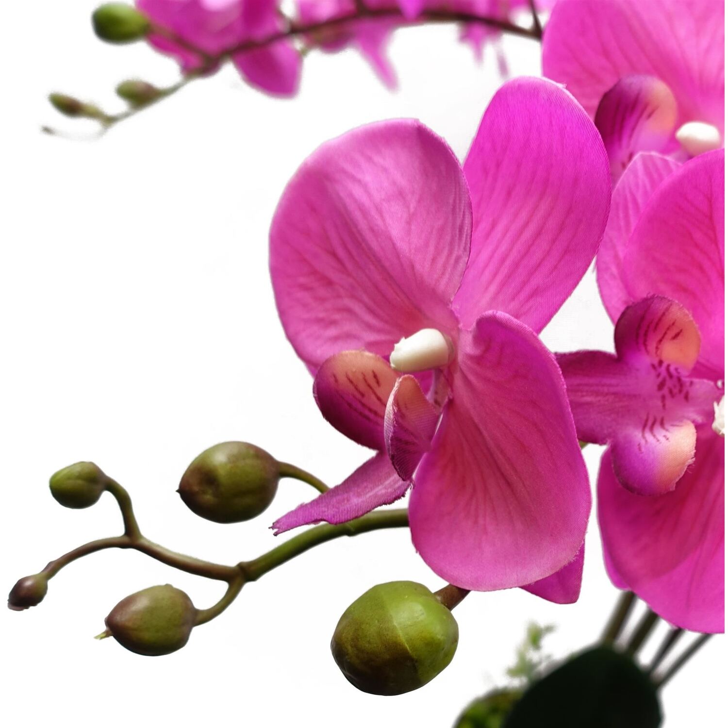 B&Q - 85Cm Artificial Deluxe Bush OrchidDark Pink With Black Pot - Image 2