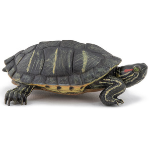 PAPO Wild Animal Kingdom Florida Tortoise Toy Figure - 50309