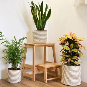 Set of Three Sand Indoor Planter Basket