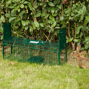 Outsunny Double Door Humane Indoor Rat Trap