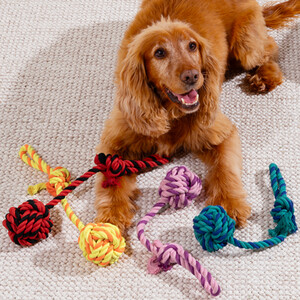 Knotted Ball on a Rope