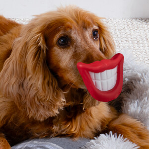 Smile Dog Toy