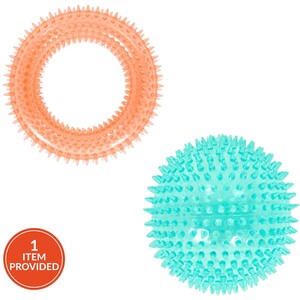 Jumbo Spike Dog Toy