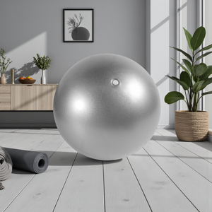 Pilates Ball Silver