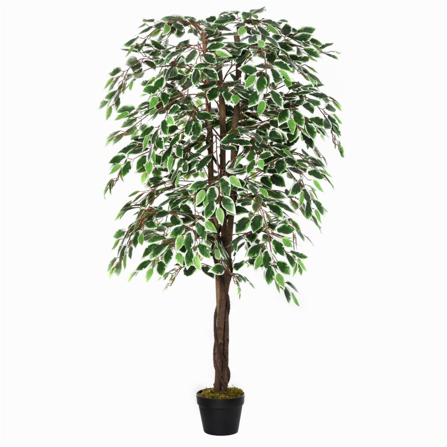 Artificial Ficus Plant in Cement-Filled Pot - Green