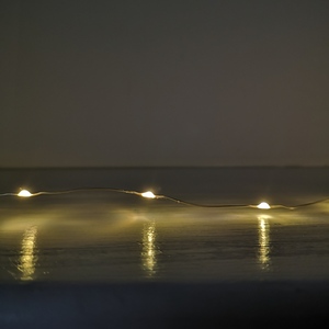  shot 2518114