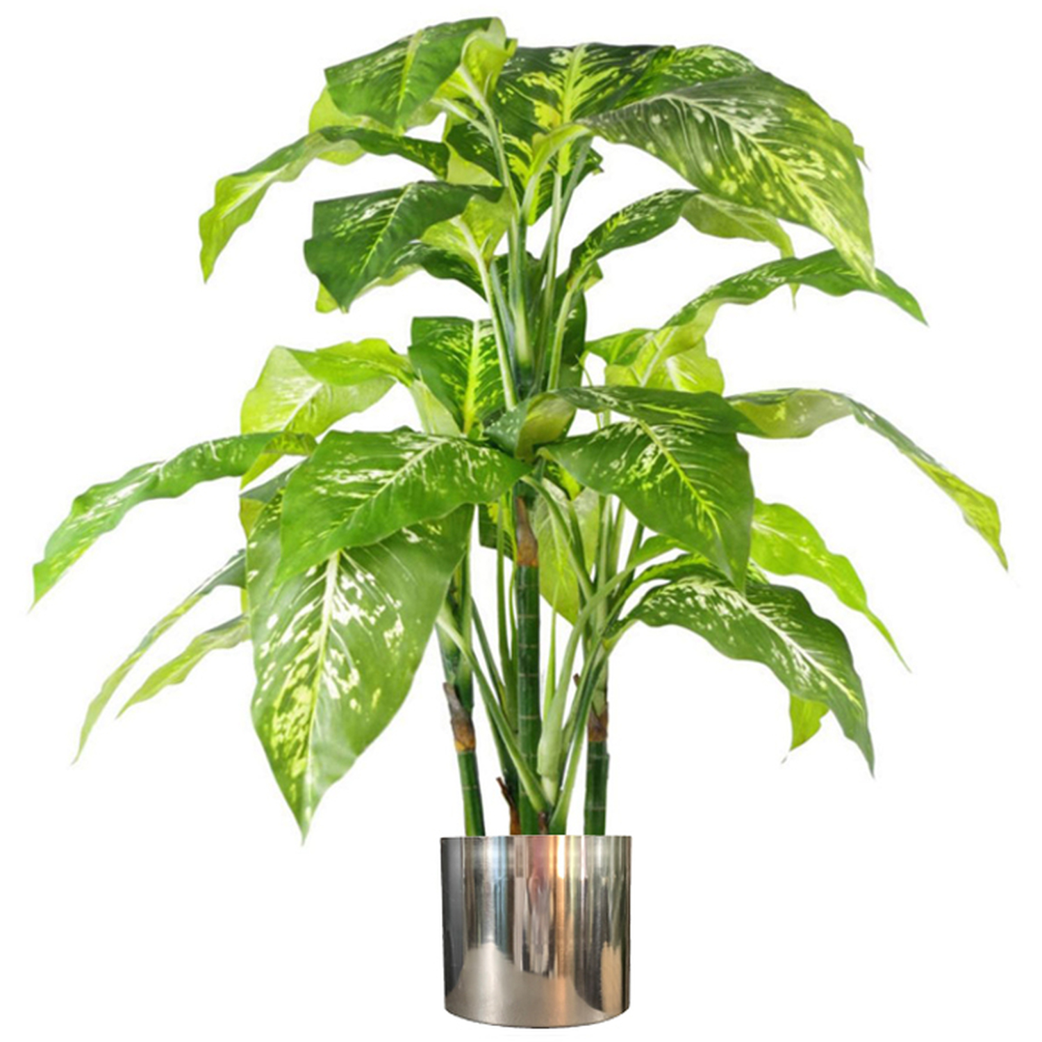 Large Fox  Aglaonema Tree Artificial Plant Silver Metal Planter - Green