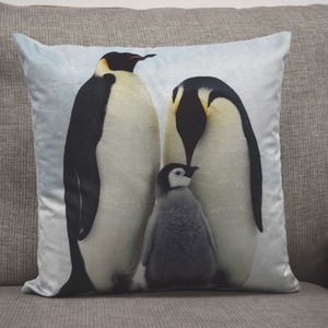 Penguins Cushion Cover Multi (43x43)