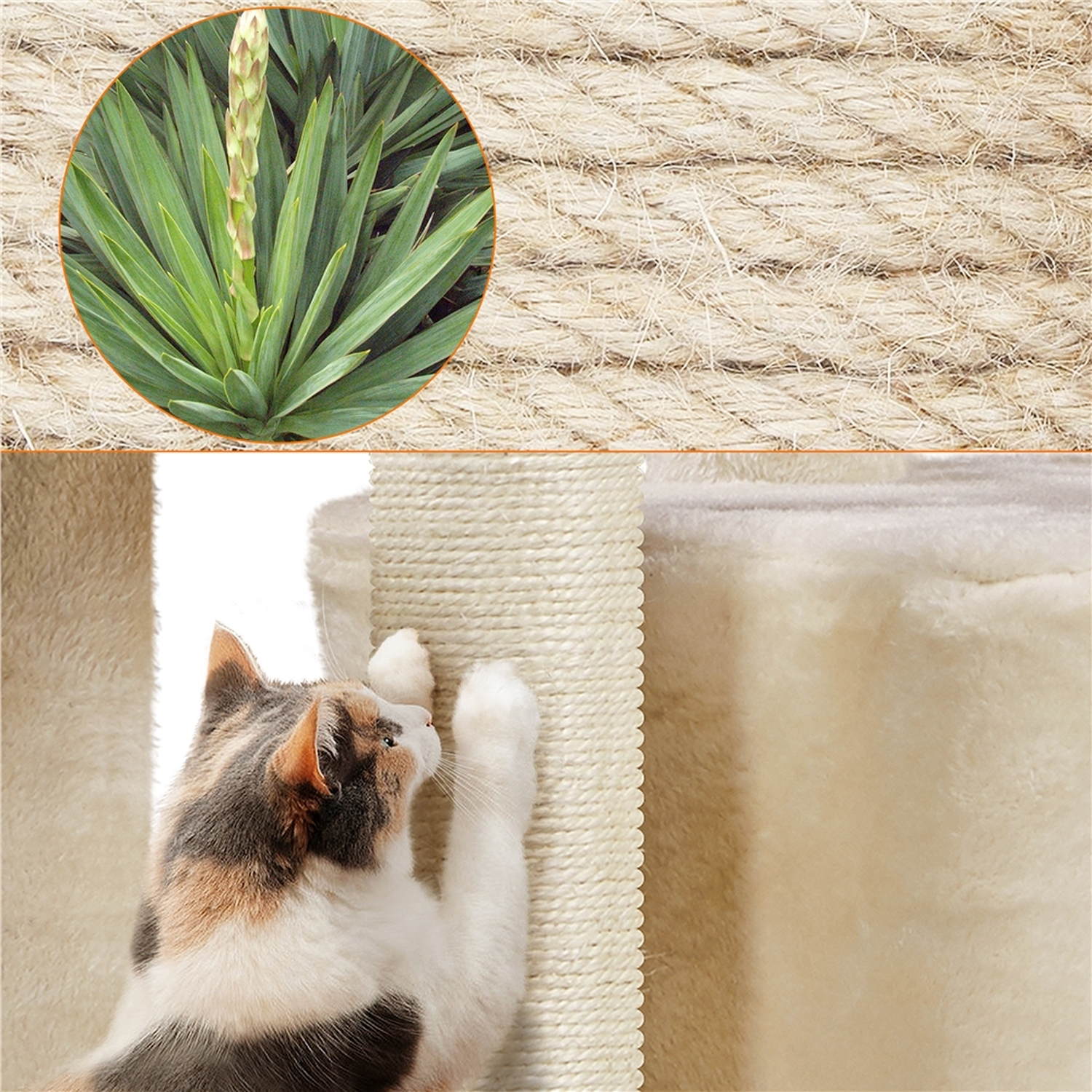 Cat Tree Rope Texture Small Cat Tree with Sisal Ropes Posts for Kittens