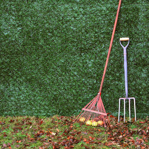 Artificial Conifer Hedge Privacy Screening Roll