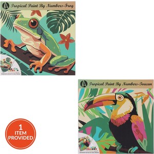 Paint By Numbers Tropical Kit
