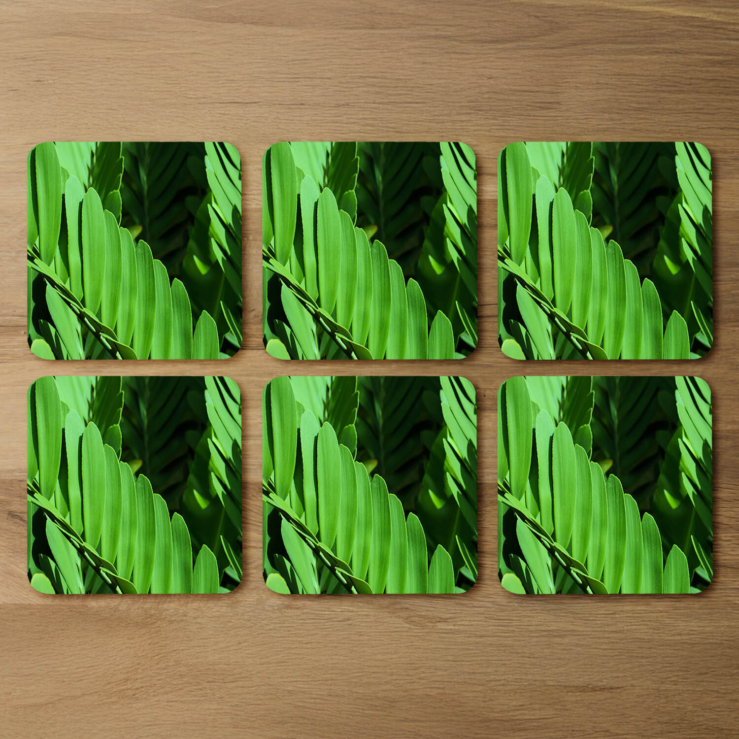 Natural dark green leaves, long slender green leaves Designer Coaster Set - Green